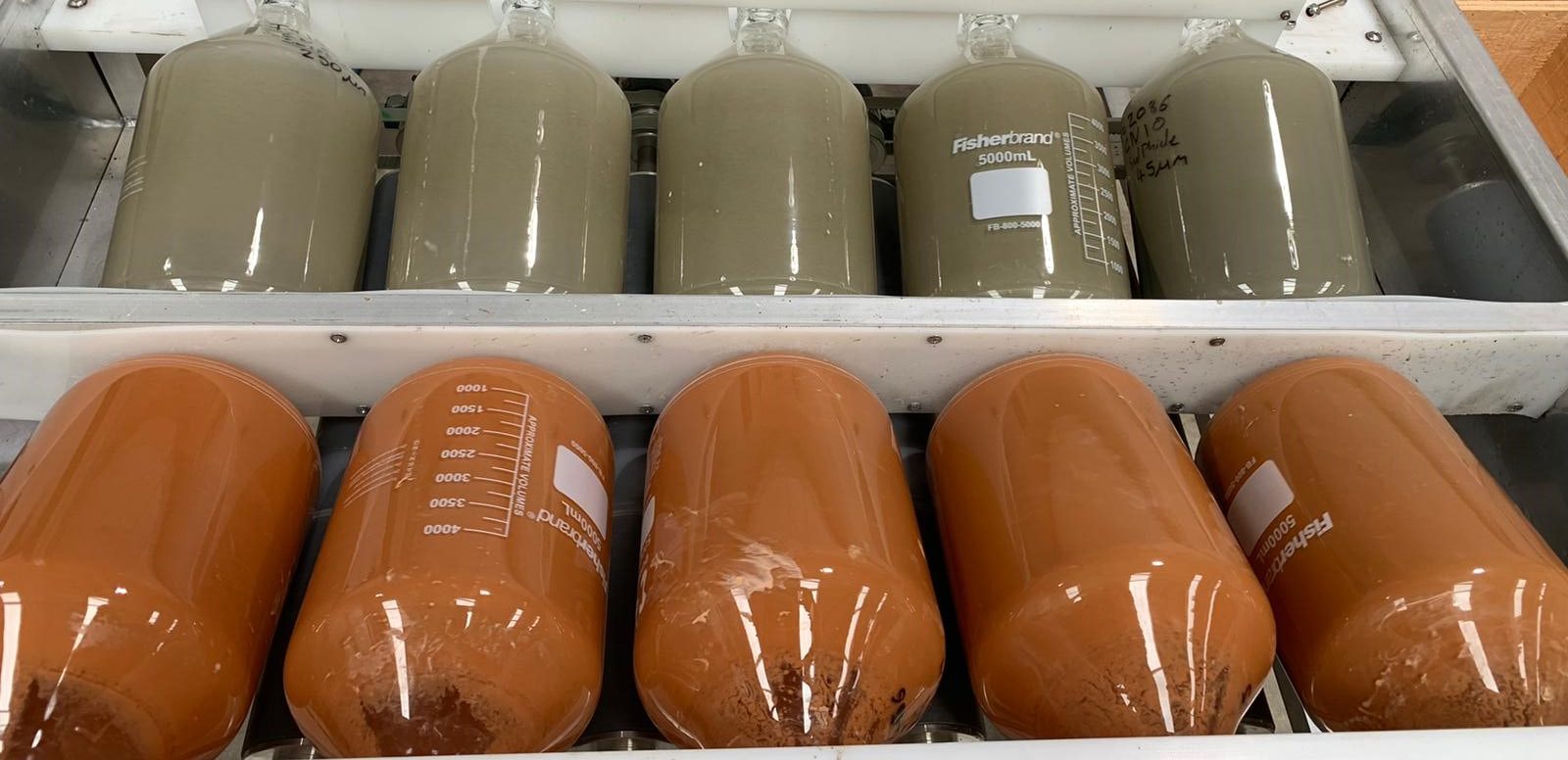 Cyanide bottle roll Grinding Solutions Ltd